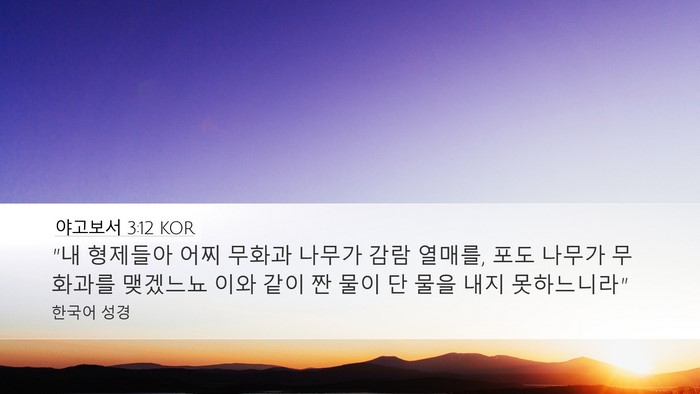 야고보서 3:12 KOR Bible Verse Image