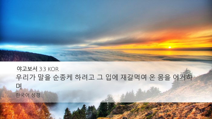 야고보서 3:3 KOR Desktop Wallpaper - 우리가 말을 순종케 하려고 그 입에 - Desktop Bible Verse Wallpaper