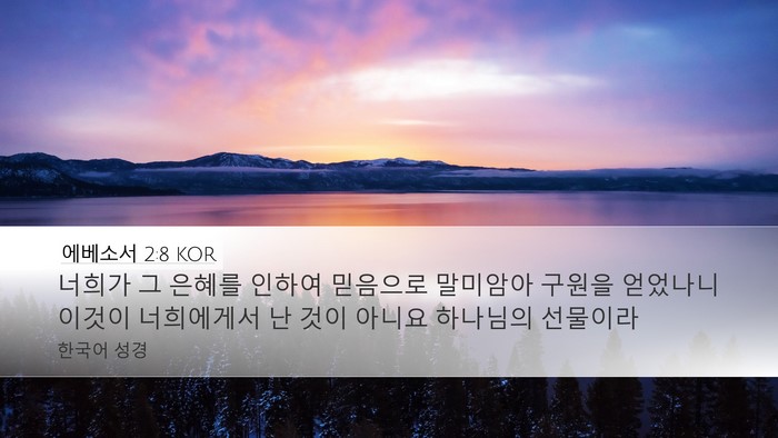 에베소서 2:8 KOR Bible Verse Image