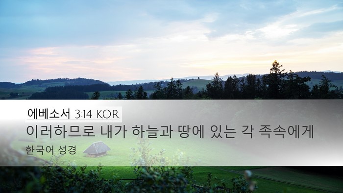 에베소서 3:14 KOR Bible Verse Image