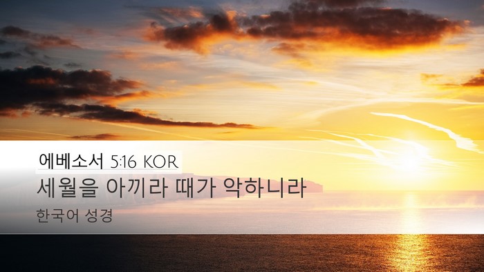 에베소서 5:16 KOR Bible Verse Image
