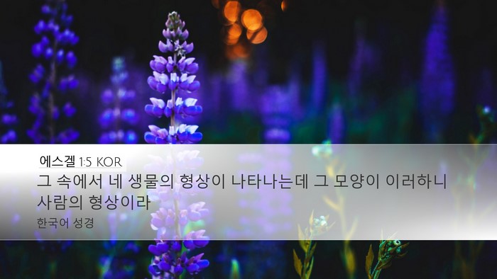 에스겔 1:5 KOR Bible Verse Image