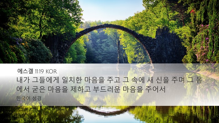 에스겔 11:19 KOR Bible Verse Image