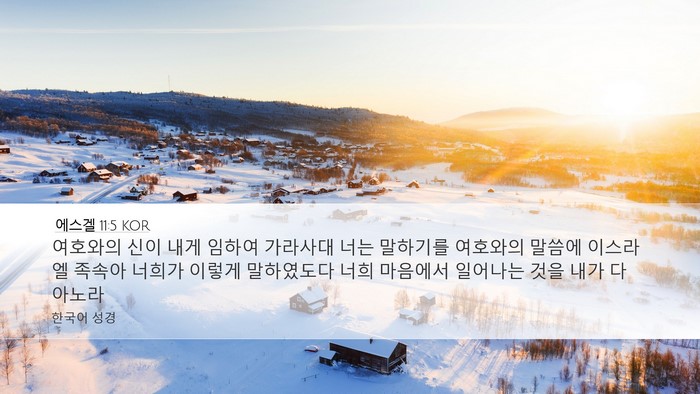 에스겔 11:5 KOR Bible Verse Image