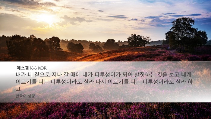 에스겔 16:6 KOR Bible Verse Image