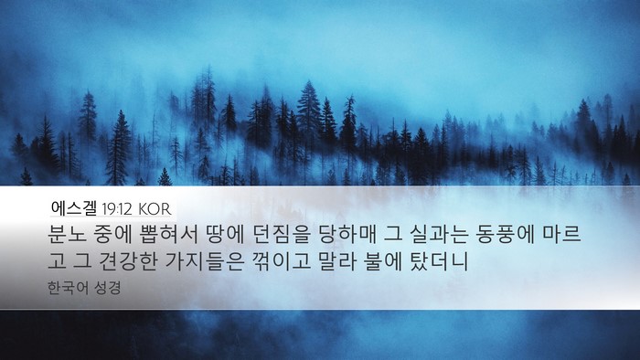 에스겔 19:12 KOR Bible Verse Image