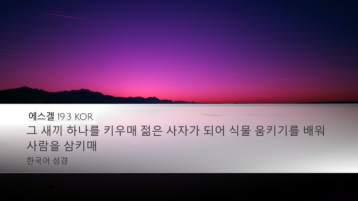 에스겔 19:3 KOR Bible Verse Image
