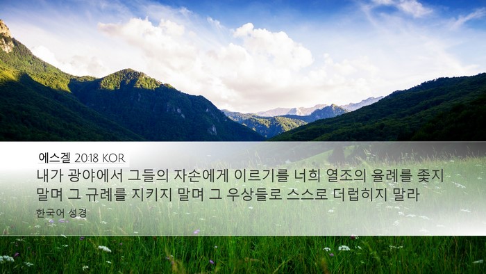 에스겔 20:18 KOR Bible Verse Image