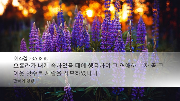 에스겔 23:5 KOR Bible Verse Image
