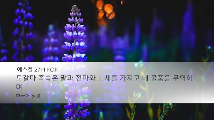 에스겔 27:14 KOR Bible Verse Image