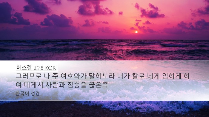 에스겔 29:8 KOR Bible Verse Image