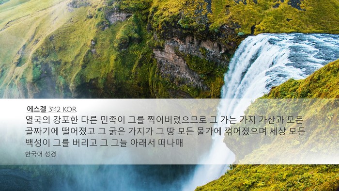 에스겔 31:12 KOR Bible Verse Image