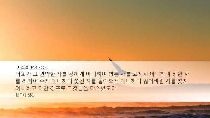 에스겔 34:4 KOR Bible Verse Image