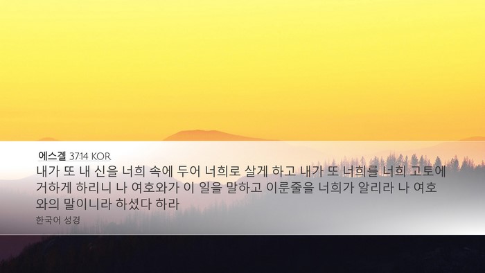 에스겔 37:14 KOR Bible Verse Image
