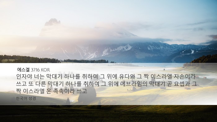 에스겔 37:16 KOR Bible Verse Image