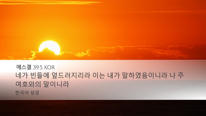 에스겔 39:5 KOR Desktop Wallpaper - 네가 빈들에 엎드러지리라 이는 내가 - Desktop Bible Verse Wallpaper