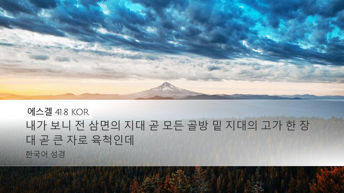 에스겔 41:8 KOR Bible Verse Image