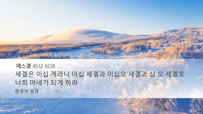 에스겔 45:12 KOR Bible Verse Image