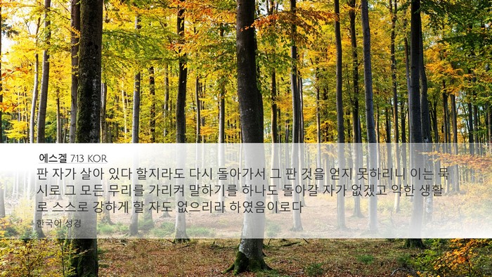 에스겔 7:13 KOR Bible Verse Image