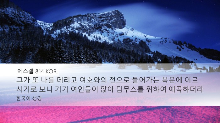 에스겔 8:14 KOR Bible Verse Image