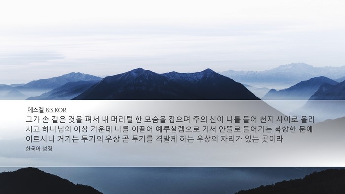 에스겔 8:3 KOR Bible Verse Image