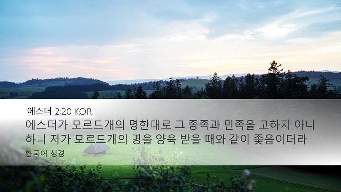 에스더 2:20 KOR Bible Verse Image
