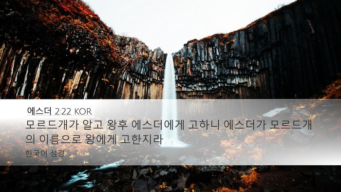 에스더 2:22 KOR Desktop Wallpaper - 모르드개가 알고 왕후 에스더에게 - Desktop Bible Verse Wallpaper