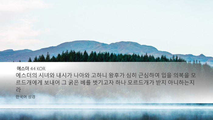 에스더 4:4 KOR Desktop Wallpaper - 에스더의 시녀와 내시가 나아와 - Desktop Bible Verse Wallpaper