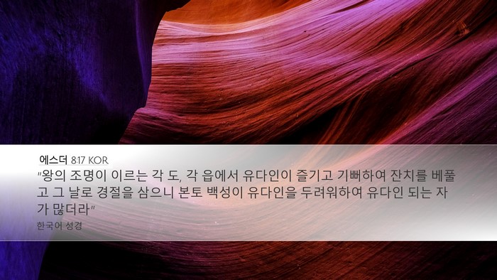 에스더 8:17 KOR Bible Verse Image