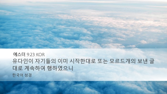 에스더 9:23 KOR Desktop Wallpaper - 유다인이 자기들의 이미 시작한대로 - Desktop Bible Verse Wallpaper