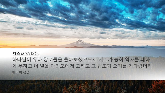 에스라 5:5 KOR Bible Verse Image