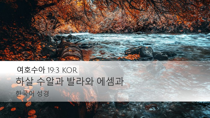 여호수아 19:3 KOR Bible Verse Image