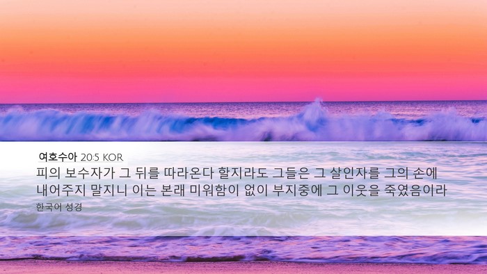 여호수아 20:5 KOR Desktop Wallpaper - 피의 보수자가 그 뒤를 따라온다 - Desktop Bible Verse Wallpaper