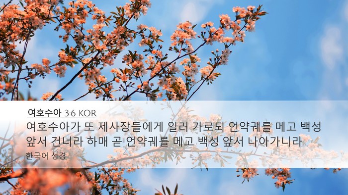 여호수아 3:6 KOR Bible Verse Image