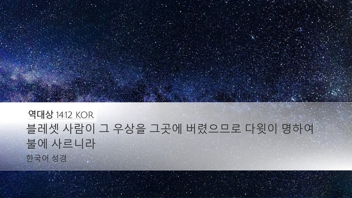 역대상 14:12 KOR Bible Verse Image