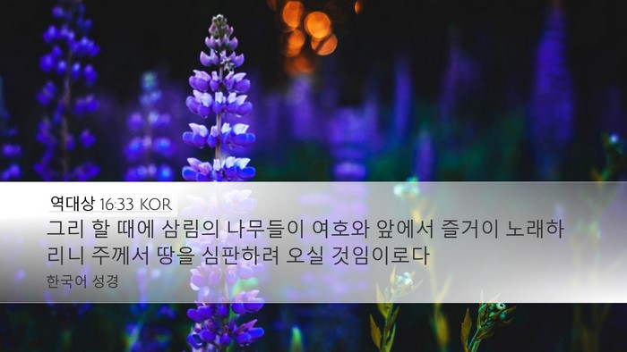 역대상 16:33 KOR Desktop Wallpaper - 그리 할 때에 삼림의 나무들이 - Desktop Bible Verse Wallpaper