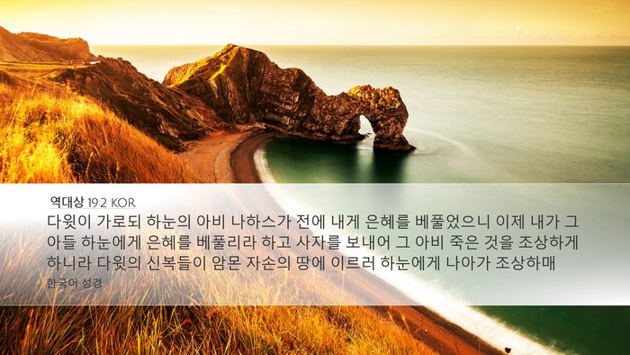 역대상 19:2 KOR Bible Verse Image