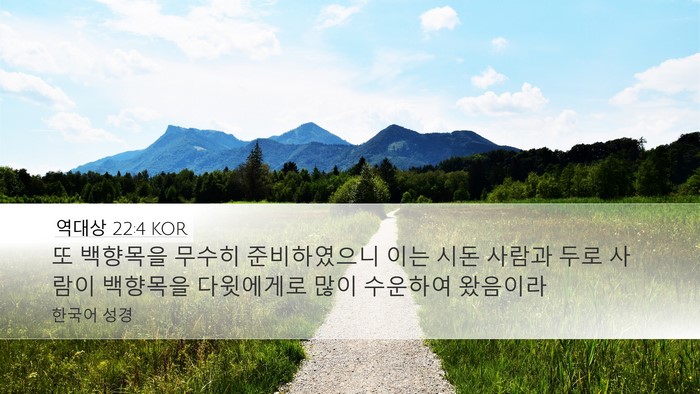 역대상 22:4 KOR Bible Verse Image