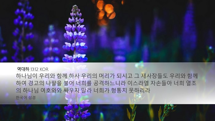 역대하 13:12 KOR Bible Verse Image