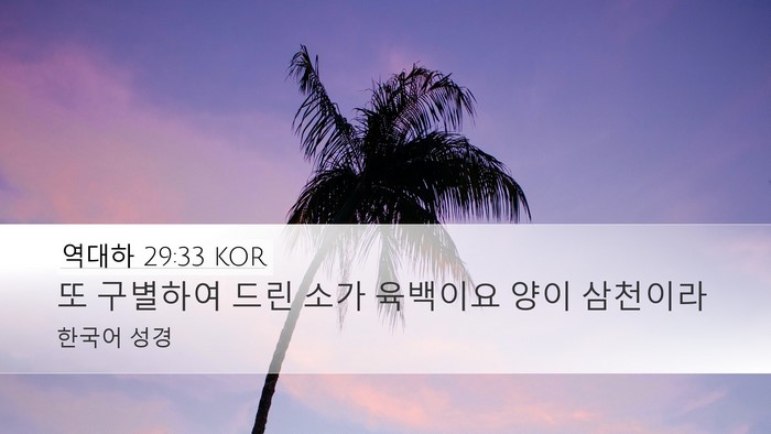 역대하 29:33 KOR Desktop Wallpaper - 또 구별하여 드린 소가 육백이요 - Desktop Bible Verse Wallpaper
