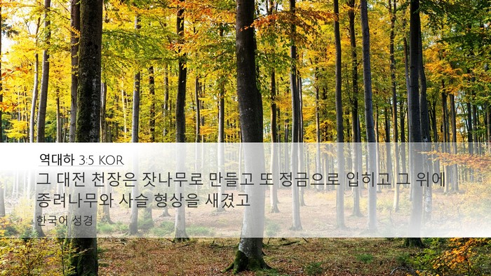 역대하 3:5 KOR Desktop Wallpaper - 그 대전 천장은 잣나무로 만들고 또 - Desktop Bible Verse Wallpaper