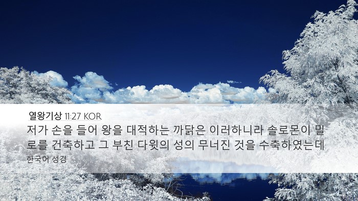 열왕기상 11:27 KOR Bible Verse Image