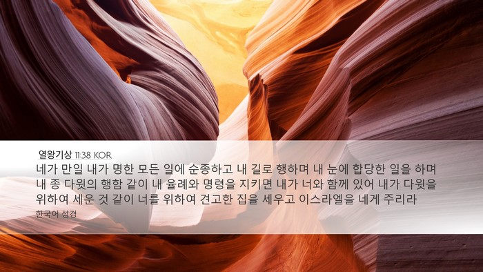 열왕기상 11:38 KOR Bible Verse Image