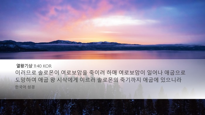 열왕기상 11:40 KOR Bible Verse Image
