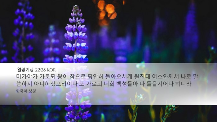 열왕기상 22:28 KOR Bible Verse Image