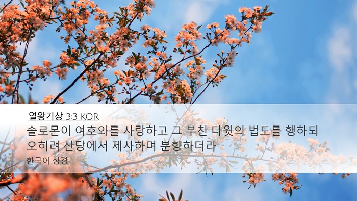열왕기상 3:3 KOR Desktop Wallpaper - 솔로몬이 여호와를 사랑하고 그 부친 - Desktop Bible Verse Wallpaper