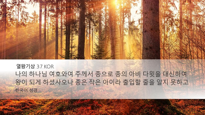 열왕기상 3:7 KOR Bible Verse Image
