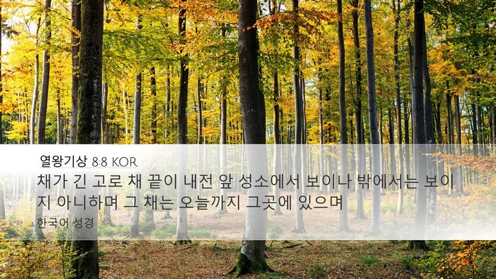 열왕기상 8:8 KOR Bible Verse Image
