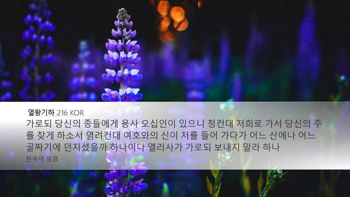 열왕기하 2:16 KOR Desktop Wallpaper - 가로되 당신의 종들에게 용사 - Desktop Bible Verse Wallpaper