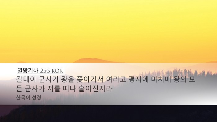 열왕기하 25:5 KOR Bible Verse Image